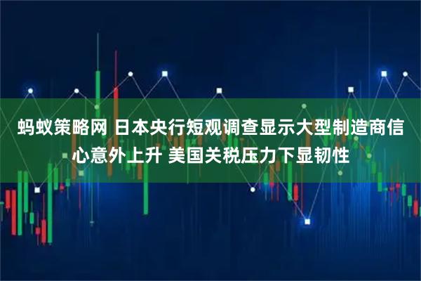 蚂蚁策略网 日本央行短观调查显示大型制造商信心意外上升 美国关税压力下显韧性